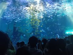 -哈尔滨波塞冬海底世界