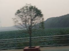 -月湖风景区