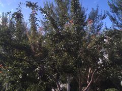 -新华百货CC Park购物广场