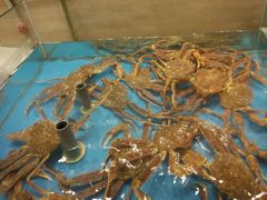 -龙宴海鲜城(经中路店)