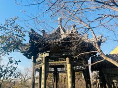 -善化寺