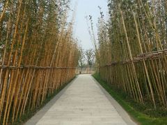 android_upload_pic-南翔镇银翔湖公园