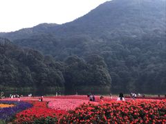 -广州市石门国家森林公园