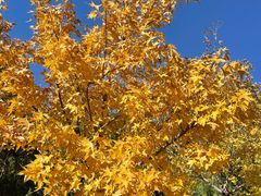 -白水寺森林公园