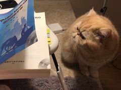 -全欧语言留学考试(德法西意俄南京总部校区)