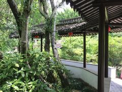 -上海醉白池公园