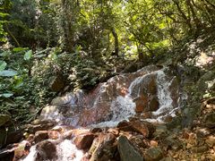 -梧桐山风景名胜区