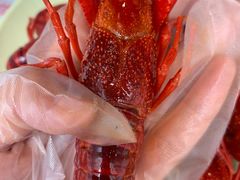 -靓靓蒸虾·头牌蒸虾(南山桂庙店)