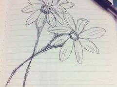 -洛柔芙(CBD万达店)