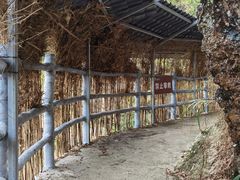 -千泷沟大瀑布旅游区