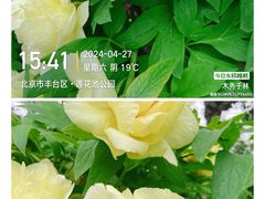 -莲花池公园