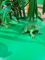 -北京科学中心儿童乐园