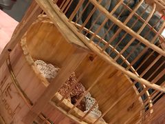 -胡桃里音乐酒馆(环亚凯瑟琳广场店)