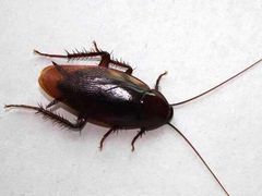 -大鼓米线(浦东长泰店)