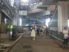 -中环半山扶手电梯