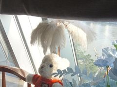 -桃花江餐厅·江景-约会·聚会