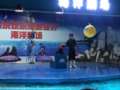 -重庆欢乐海底世界