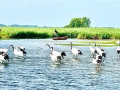 -黑龙江扎龙生态旅游区