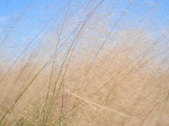 -漩门湾国家湿地公园