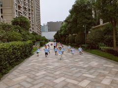 -绿城奇妙园双语日托(华茂悦峰园区)