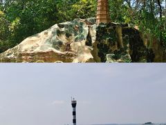 -滕州微山湖红荷湿地景区