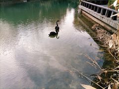 -天目湖涵田半山温泉