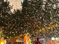 -郑州方特梦幻王国