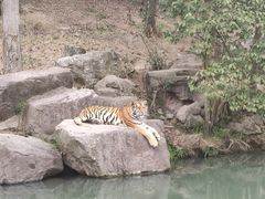 -宁波野生动物园