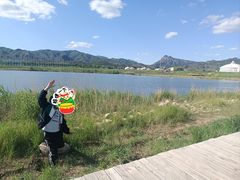 -敕勒川草原