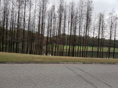 -中旅阿那亚九龙湖·公主酒店