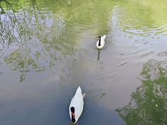-南沙水鸟世界生态园