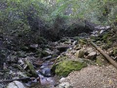 -本溪汤沟绿石谷森林公园