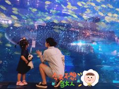 -成都浩海立方海洋公园