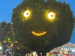 -特克斯八卦城