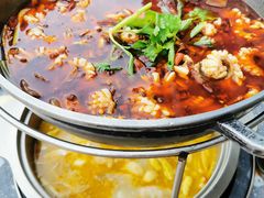 -重庆乌鱼庄·龙滋鲜(青羊大道店)