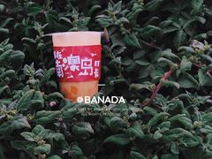 -南澳岛打卡果汁冰公司