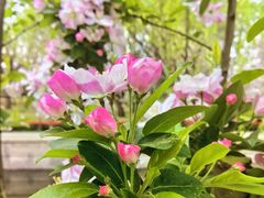 -元大都城垣遗址公园