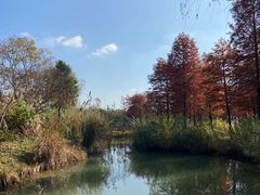 -梁鸿国家湿地公园