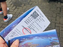 -上海海湾国家森林公园