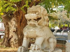 -北京石刻艺术博物馆(五塔寺)