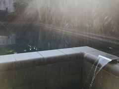 -候鸟水榕庄度假酒店