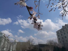 -黑龙江大学