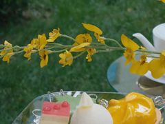 -九献私房菜(亮马河花园私宴店)