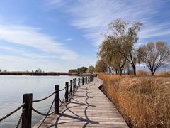 -野鸭湖国家湿地公园