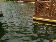 -汤山翠谷生态餐厅