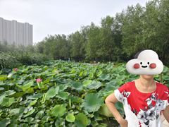 -前关湿地公园