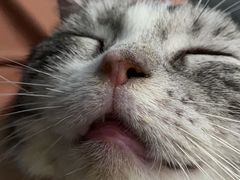 -钜成口腔(师范大学一部店)