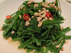 松子龙须菜-茉里粤菜(皇姑万象汇店)