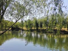 -长春公园(普阳街道)