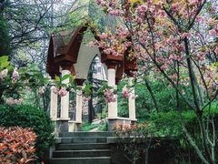-观象山公园